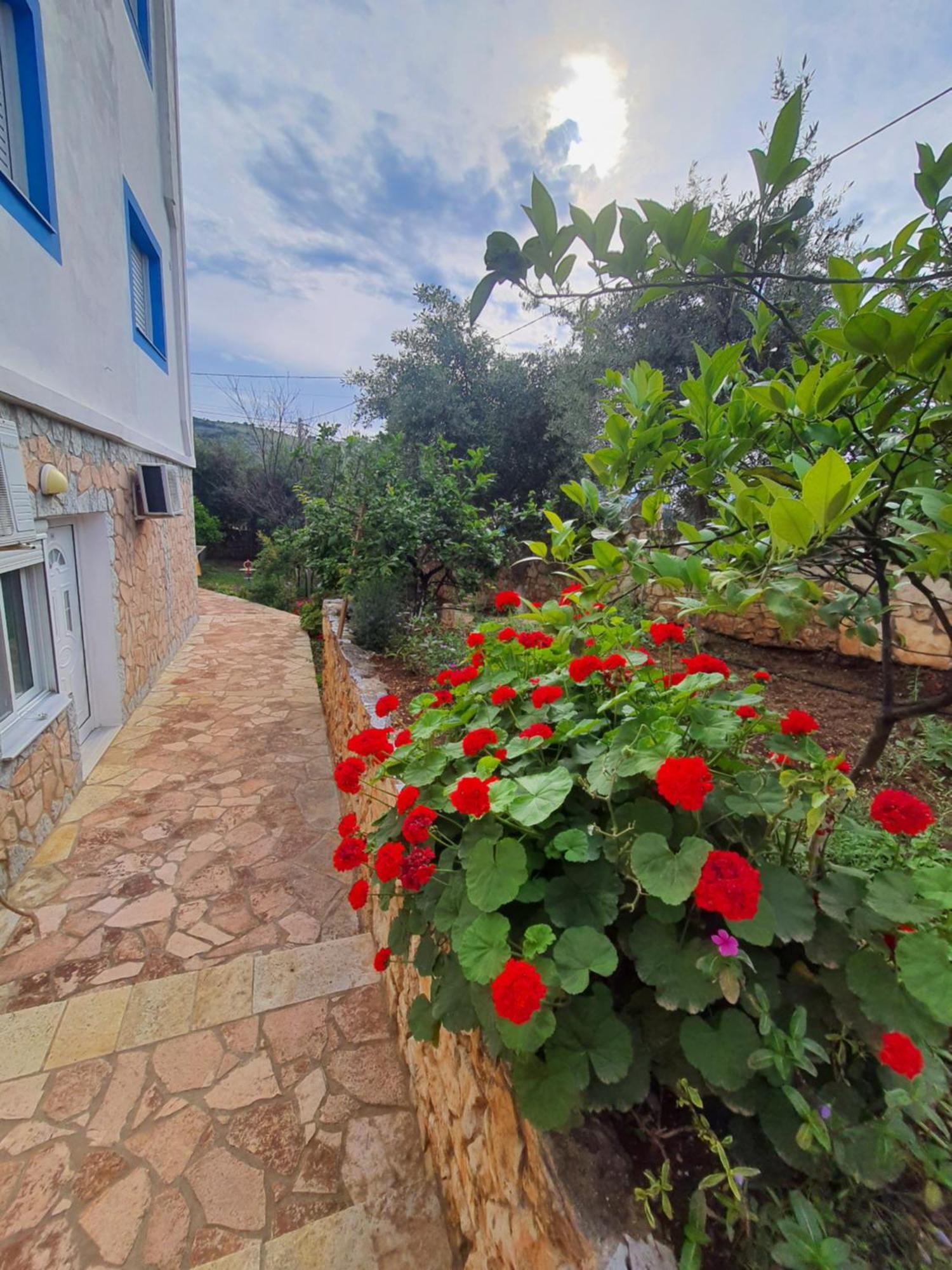 Vila Albi Ксамил Екстериор снимка